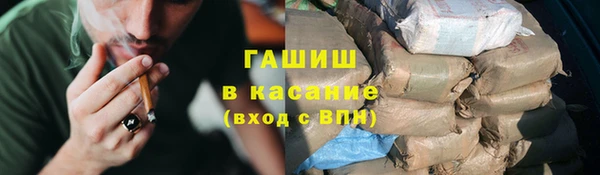 гашик Горняк