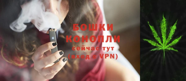 гашик Горняк