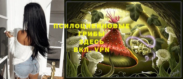 соль ск Горнозаводск