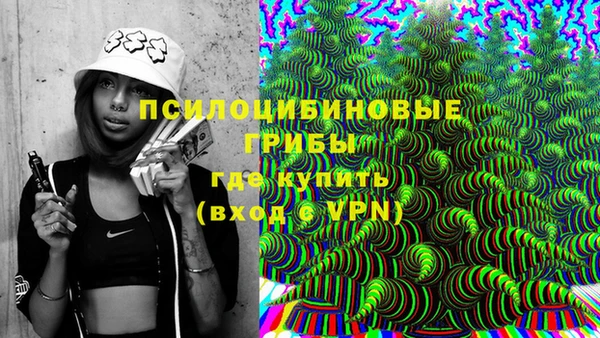 соль ск Горно-Алтайск