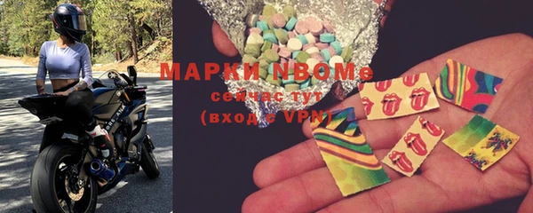 гашик Горняк