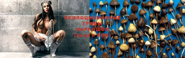 гашик Горняк