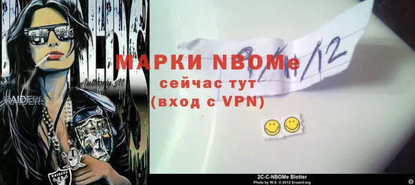 соль ск Горнозаводск