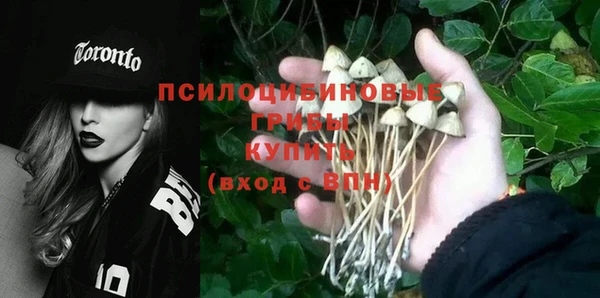 ГАЛЛЮЦИНОГЕННЫЕ ГРИБЫ Вязьма