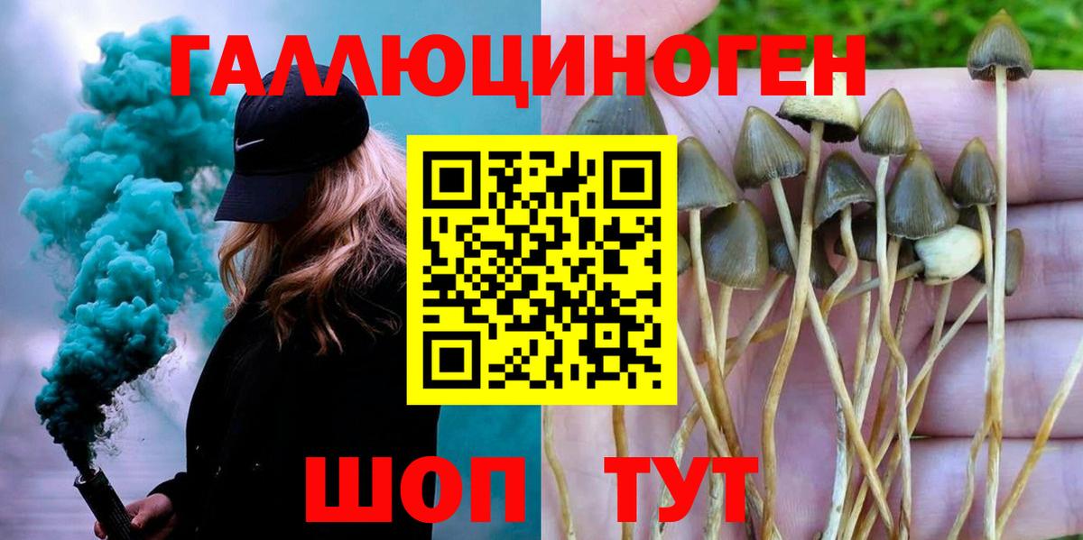 Псилоцибиновые грибы мицелий Железногорск