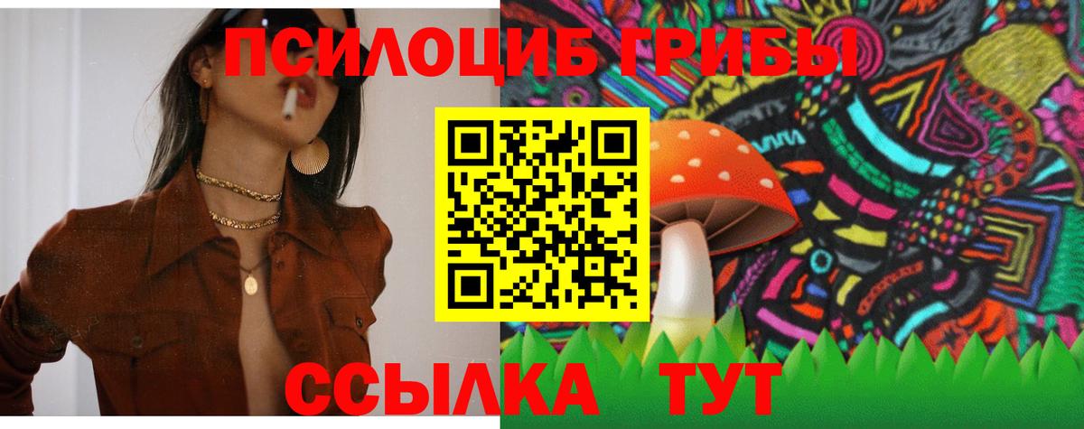 Железногорск  Галлюциногенные грибы Psilocybine cubensis  Вход с VPN 